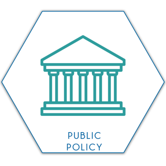 PUBLIC POLICY-MAKING AND ANALYSIS